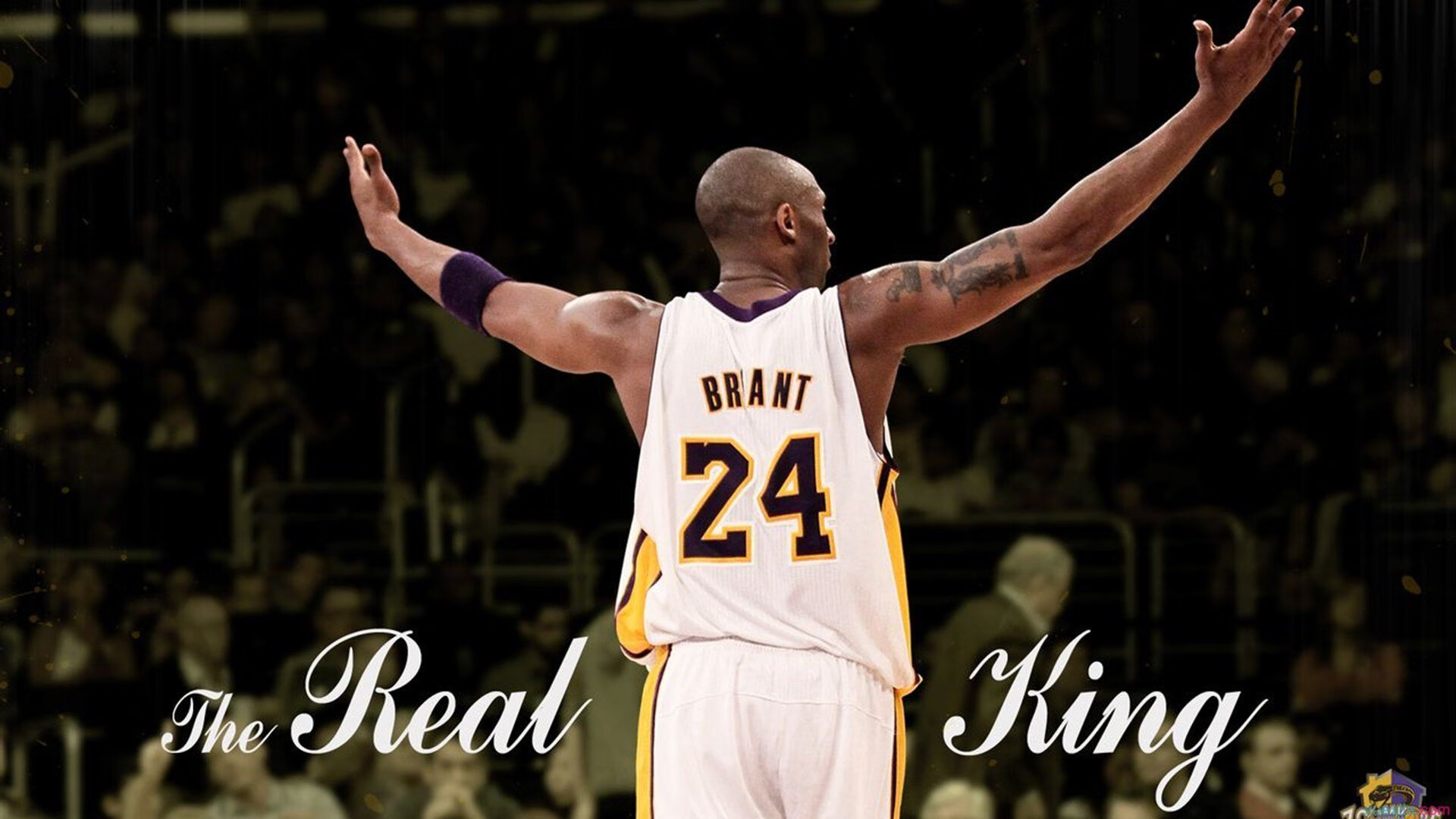 公牛队后卫拉文连续三场得分破,公牛队的拉文是扣篮王吗