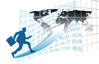 九游娱乐入口-中国篮球职业联赛赛事运营风险评估与管理对策，篮球赛事安全风险